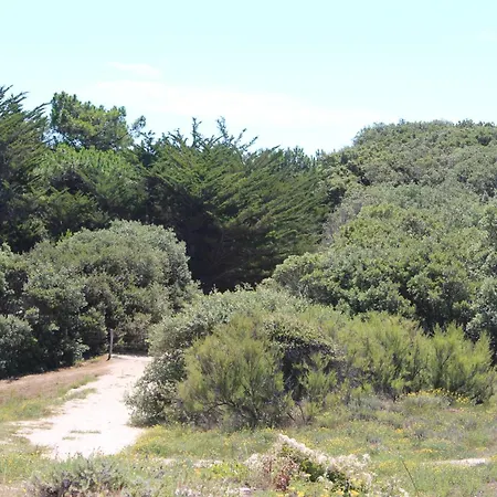 Holiday home Les Paquerelles Saint-Georges-d'Oleron